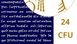 24cfu